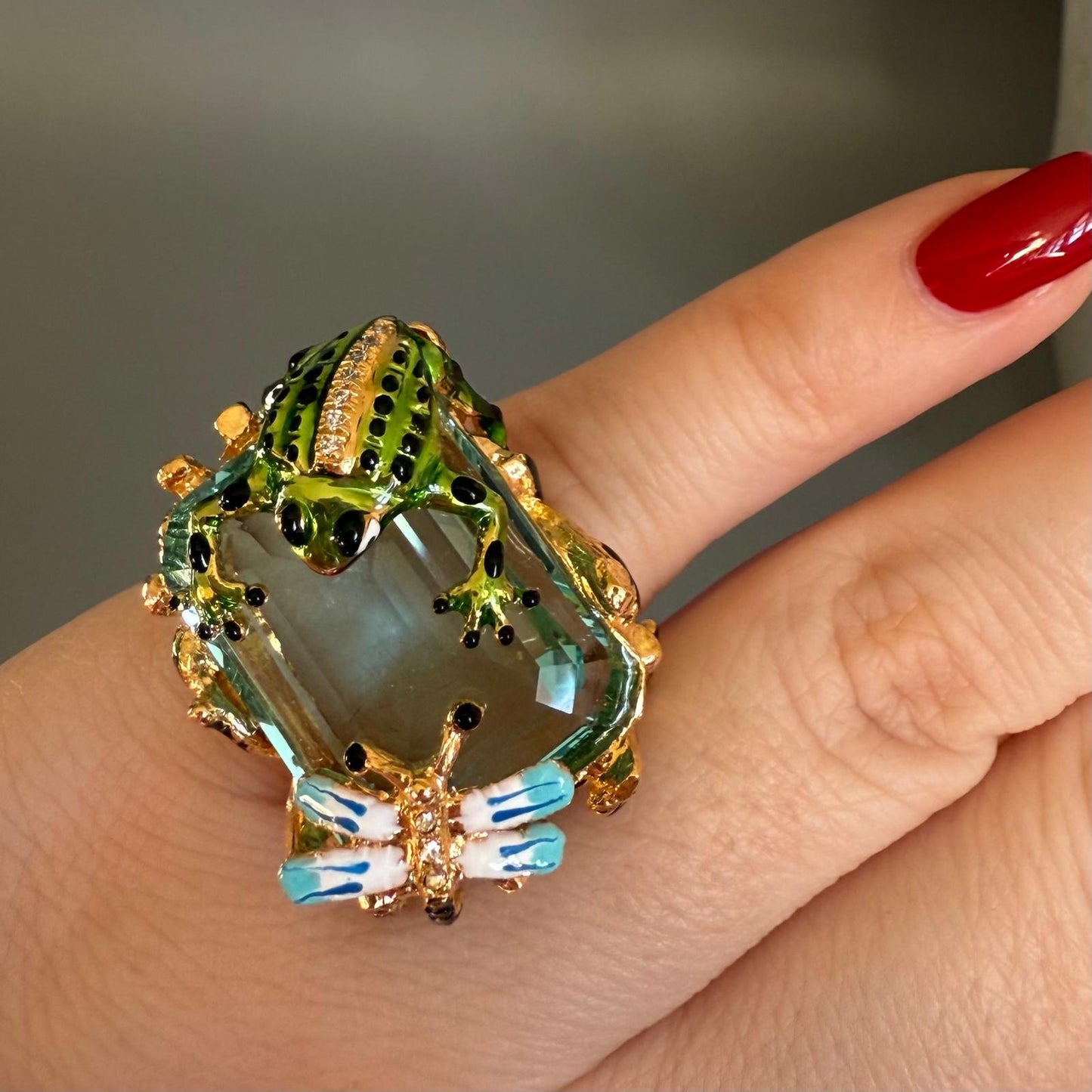 ANILLO