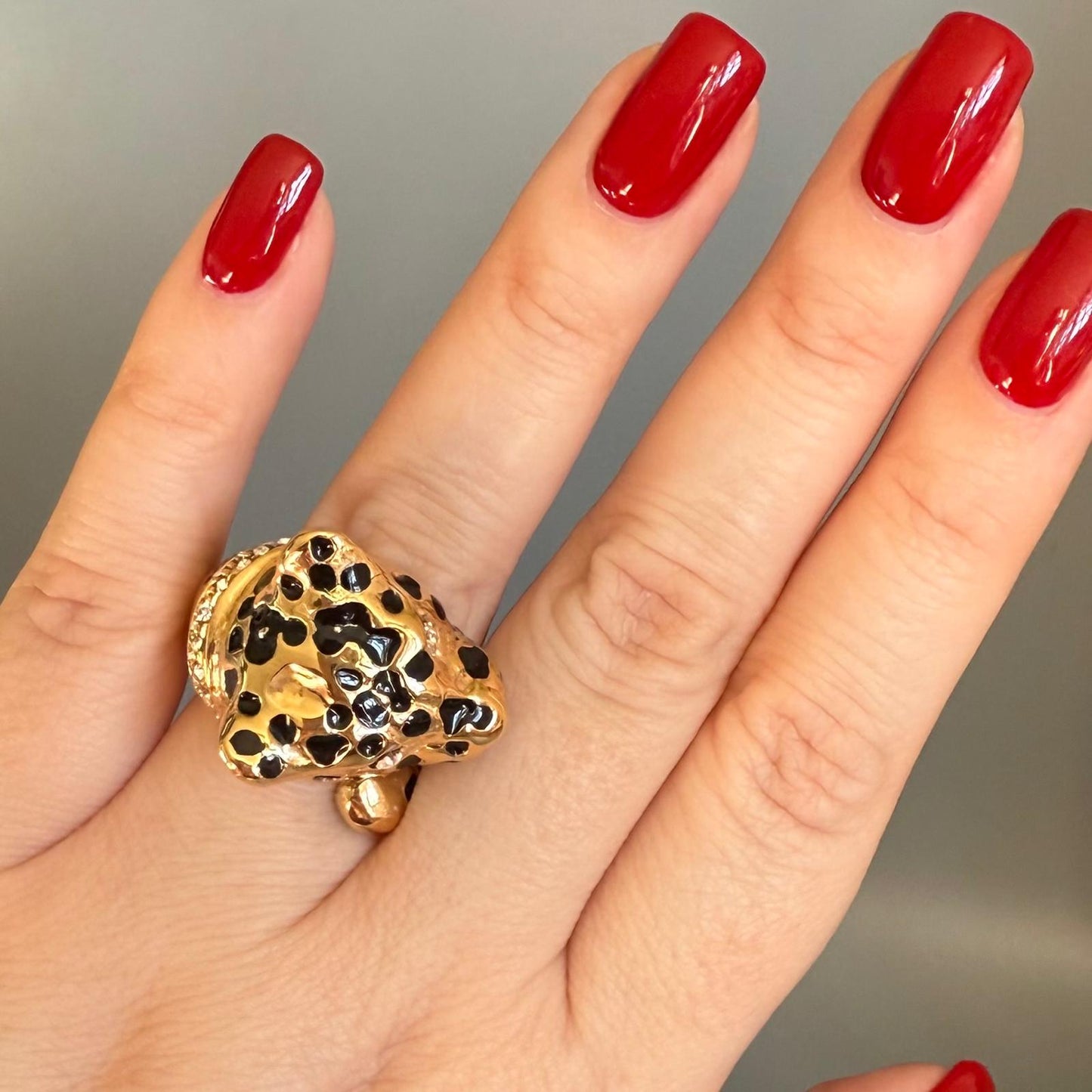 ANILLO