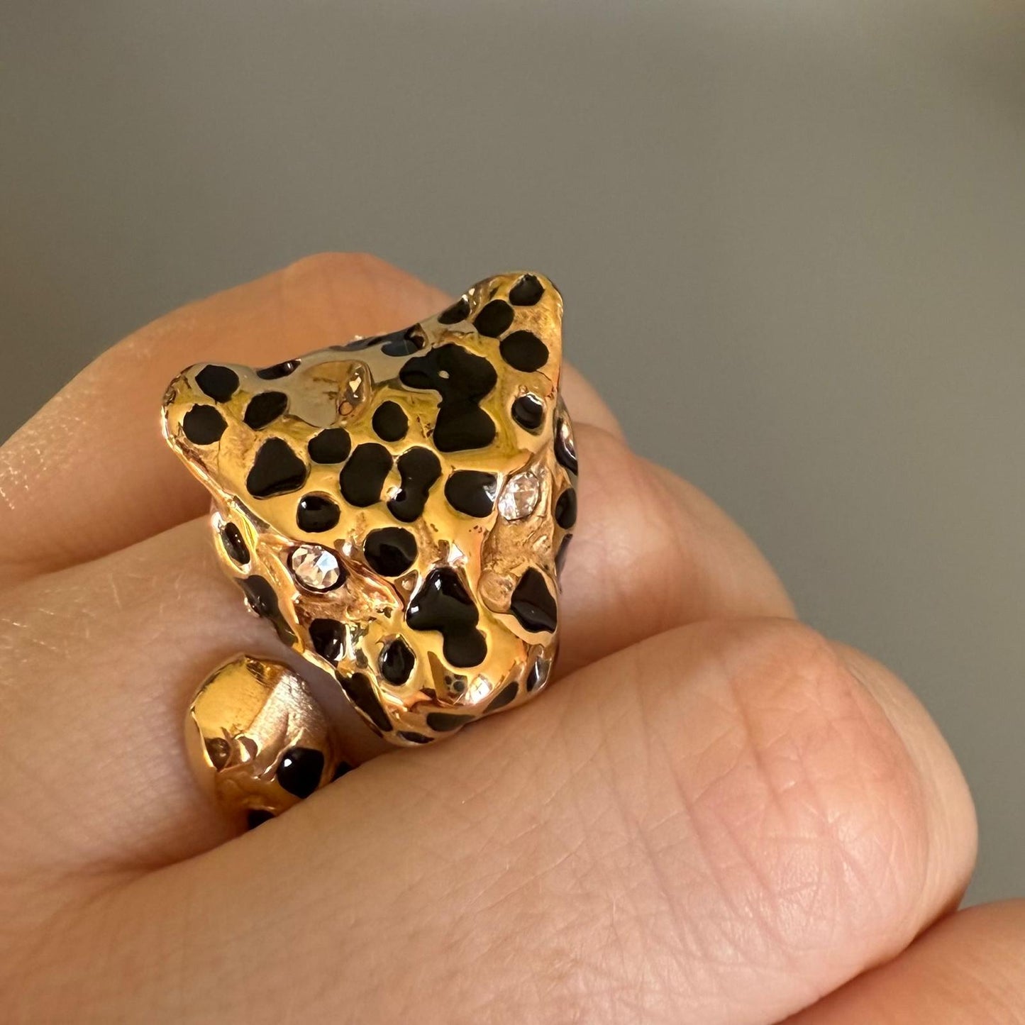 ANILLO