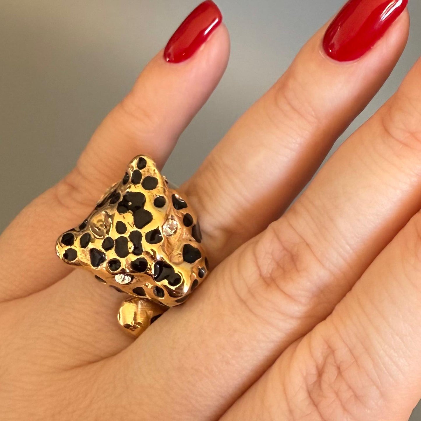 ANILLO