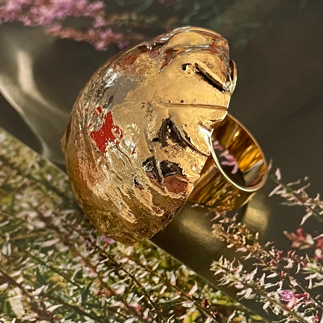 ANILLO