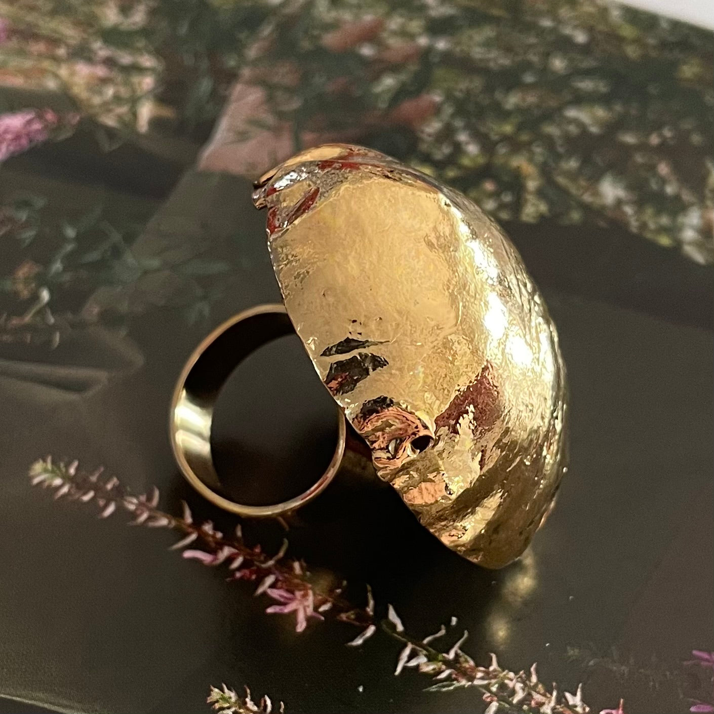 ANILLO